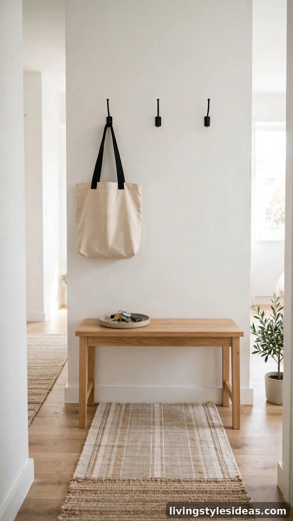 Organized studio entryway with a bench, wall hooks and a runner rug